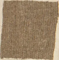 An illustration from Collection of specimens and illustrations of the textile manufactures of India. Second series, 1083-1120 / prepared under the direction of J. Forbes Watson (1874)