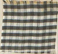 An illustration from Collection of specimens and illustrations of the textile manufactures of India. Second series, 0575-0631 / prepared under the direction of J. Forbes Watson (1873)
