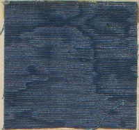 An illustration from Collection of specimens and illustrations of the textile manufactures of India. Second series, 0575-0631 / prepared under the direction of J. Forbes Watson (1873)