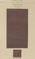 An illustration from Collection of specimens and illustrations of the textile manufactures of India. Second series, 0575-0631 / prepared under the direction of J. Forbes Watson (1873)