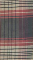 An illustration from Collection of specimens and illustrations of the textile manufactures of India. Second series, 0575-0631 / prepared under the direction of J. Forbes Watson (1873)