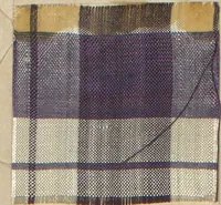 An illustration from Collection of specimens and illustrations of the textile manufactures of India. Second series, 0575-0631 / prepared under the direction of J. Forbes Watson (1873)