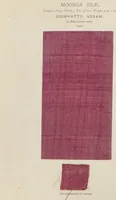 Picture 47 of 48 from Collection of specimens and illustrations of the textile manufactures of India. Second series, 0575-0631 / prepared under the direction of J. Forbes Watson (1873), leaf 53