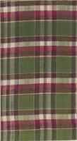 An illustration from Collection of specimens and illustrations of the textile manufactures of India. Second series, 0575-0631 / prepared under the direction of J. Forbes Watson (1873)