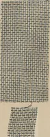 An illustration from Collection of specimens and illustrations of the textile manufactures of India. Second series, 0752-0812 / prepared under the direction of J. Forbes Watson (1874)
