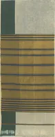 An illustration from Collection of specimens and illustrations of the textile manufactures of India. Second series, 0101-0134 / prepared under the direction of J. Forbes Watson (1877)