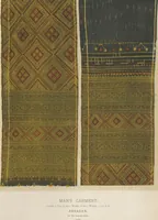 An illustration from Collection of specimens and illustrations of the textile manufactures of India. Second series, 0101-0134 / prepared under the direction of J. Forbes Watson (1877)