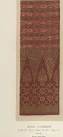 An illustration from Collection of specimens and illustrations of the textile manufactures of India. Second series, 0101-0134 / prepared under the direction of J. Forbes Watson (1877)