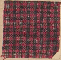 An illustration from Collection of specimens and illustrations of the textile manufactures of India. Second series, 0813-0863 / prepared under the direction of J. Forbes Watson (1874)