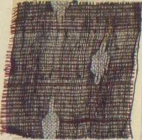 An illustration from Collection of specimens and illustrations of the textile manufactures of India. Second series, 0813-0863 / prepared under the direction of J. Forbes Watson (1874)
