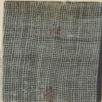 Picture 29 of 57 from Collection of specimens and illustrations of the textile manufactures of India. Second series, 0813-0863 / prepared under the direction of J. Forbes Watson (1874), leaf 22