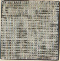 An illustration from Collection of specimens and illustrations of the textile manufactures of India. Second series, 0813-0863 / prepared under the direction of J. Forbes Watson (1874)