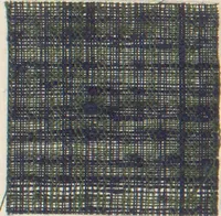An illustration from Collection of specimens and illustrations of the textile manufactures of India. Second series, 0813-0863 / prepared under the direction of J. Forbes Watson (1874)