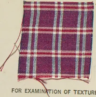 An illustration from Collection of specimens and illustrations of the textile manufactures of India. Second series, 0813-0863 / prepared under the direction of J. Forbes Watson (1874)