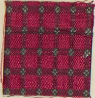 An illustration from Collection of specimens and illustrations of the textile manufactures of India. Second series, 0813-0863 / prepared under the direction of J. Forbes Watson (1874)