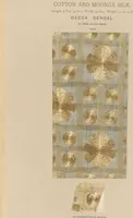 An illustration from Collection of specimens and illustrations of the textile manufactures of India. Second series, 0632-0691 / prepared under the direction of J. Forbes Watson (1873)
