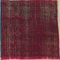 An illustration from Collection of specimens and illustrations of the textile manufactures of India. Second series, 0632-0691 / prepared under the direction of J. Forbes Watson (1873)