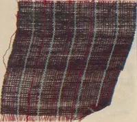 An illustration from Collection of specimens and illustrations of the textile manufactures of India. Second series, 0632-0691 / prepared under the direction of J. Forbes Watson (1873)
