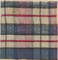 An illustration from Collection of specimens and illustrations of the textile manufactures of India. Second series, 0632-0691 / prepared under the direction of J. Forbes Watson (1873)