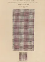 An illustration from Collection of specimens and illustrations of the textile manufactures of India. Second series, 0632-0691 / prepared under the direction of J. Forbes Watson (1873)