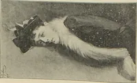 Picture 82 of 89 from Katalog illustrowany wystawy sztuki współczesnej we Lwowie 1894 (1894), leaf 117