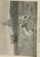 An illustration from Katalog illustrowany wystawy sztuki współczesnej we Lwowie 1894 (1894)