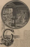 Picture 12 of 43 from The Metropolitan Museum of Art / edited by L.P. di Cesnola ; illustrations by George Gibson (1882), leaf 15