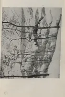 Picture 17 of 24 from The Milch Galleries : important works in paintings and sculpture / by leading American artists (1921), leaf 39