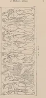 Picture 1 of 10 from A catalogue of sculpture at Woburn Abbey, in the collection of His Grace the Duke of Bedford / by A.H. Smith (1900), leaf 13