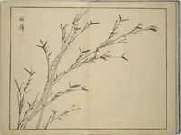 Picture 7 of 12 from The Four Worthies (Plum, Bamboo, Orchid, Chrysanthemum) (Shikunshi 竹洞四君子) (1850), leaf 16