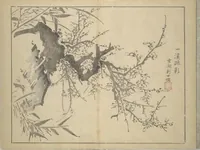 Picture 8 of 12 from The Four Worthies (Plum, Bamboo, Orchid, Chrysanthemum) (Shikunshi 竹洞四君子) (1850), leaf 25
