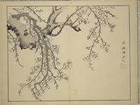 Picture 9 of 12 from The Four Worthies (Plum, Bamboo, Orchid, Chrysanthemum) (Shikunshi 竹洞四君子) (1850), leaf 27