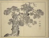 Picture 10 of 12 from The Four Worthies (Plum, Bamboo, Orchid, Chrysanthemum) (Shikunshi 竹洞四君子) (1850), leaf 29