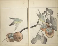 An illustration from Sōnan (Chinnen) Picture Album (Sōnan gafu 楚南画譜) (1834)