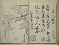 An illustration from Primer on Eight Varieties of Painting (Hasshu gafu 八集画譜) (1672)