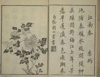 An illustration from Primer on Eight Varieties of Painting (Hasshu gafu 八集画譜) (1672)