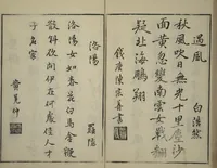 An illustration from Primer on Eight Varieties of Painting (Hasshu gafu 八集画譜) (1672)