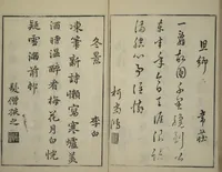 An illustration from Primer on Eight Varieties of Painting (Hasshu gafu 八集画譜) (1672)