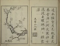 An illustration from Primer on Eight Varieties of Painting (Hasshu gafu 八集画譜) (1672)