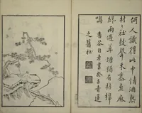 Picture 40 of 45 from Primer on Eight Varieties of Painting (Hasshu gafu 八集画譜) (1672), leaf 47
