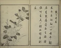 An illustration from Primer on Eight Varieties of Painting (Hasshu gafu 八集画譜) (1672)