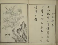 An illustration from Primer on Eight Varieties of Painting (Hasshu gafu 八集画譜) (1672)