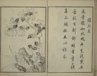 An illustration from Primer on Eight Varieties of Painting (Hasshu gafu 八集画譜) (1672)