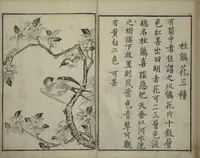 An illustration from Primer on Eight Varieties of Painting (Hasshu gafu 八集画譜) (1672)