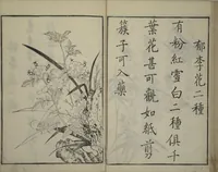 An illustration from Primer on Eight Varieties of Painting (Hasshu gafu 八集画譜) (1672)
