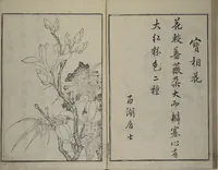 An illustration from Primer on Eight Varieties of Painting (Hasshu gafu 八集画譜) (1672)
