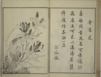 An illustration from Primer on Eight Varieties of Painting (Hasshu gafu 八集画譜) (1672)