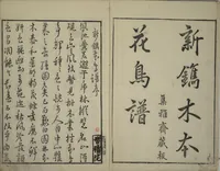 An illustration from Primer on Eight Varieties of Painting (Hasshu gafu 八集画譜) (1672)