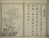 An illustration from Primer on Eight Varieties of Painting (Hasshu gafu 八集画譜) (1672)