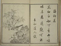 An illustration from Primer on Eight Varieties of Painting (Hasshu gafu 八集画譜) (1672)